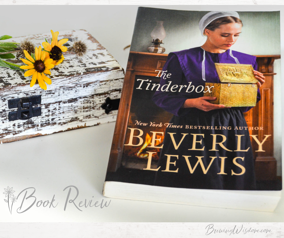 tinderbox book review